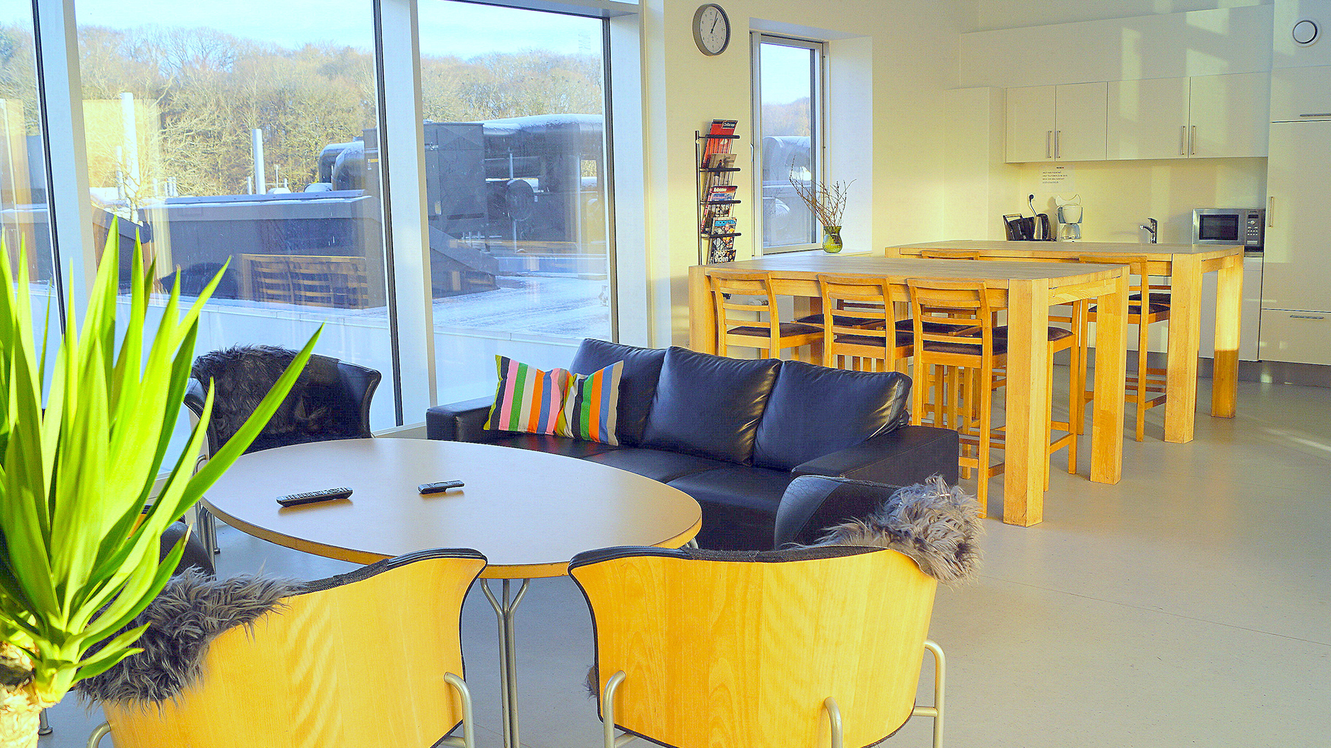 Studieboligernes fælles opholdsrum