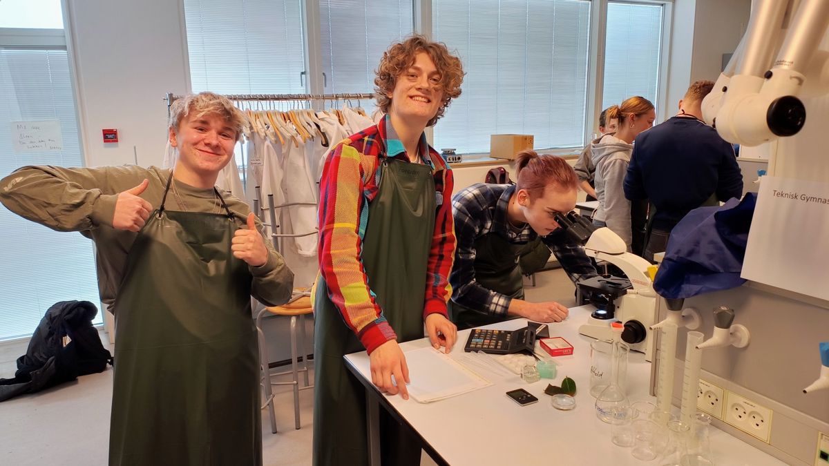 DM I Science