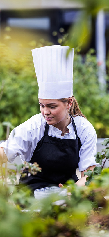 Eud Gastronom Koekkenhave