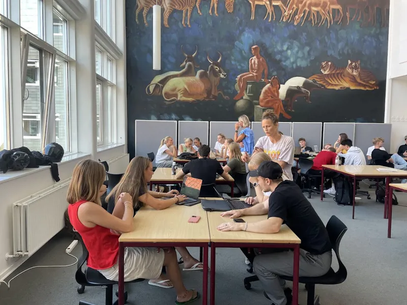 Grupper af elever sidder ved borde og arbejder med opgave, gruppe i forgrunden samtaler med facilitator