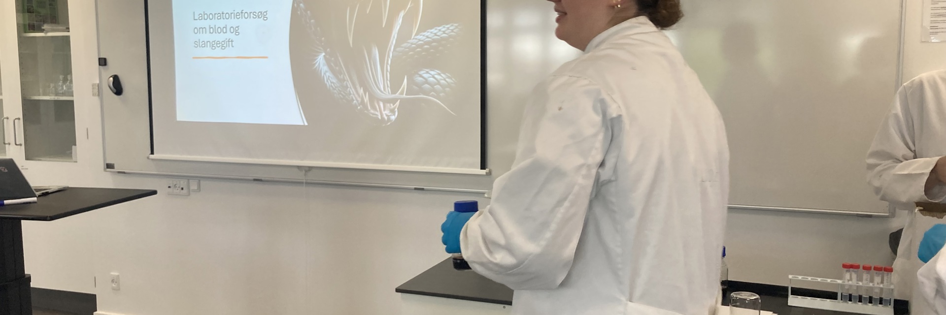 Laboratorieforsøg om blod og slangegift